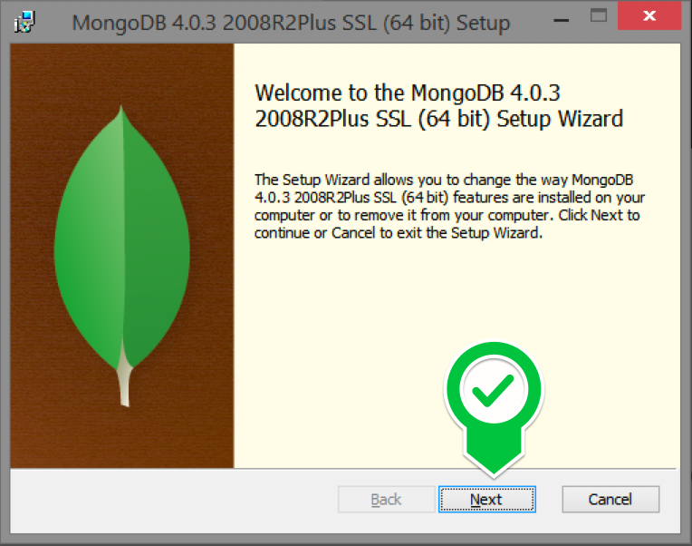 mongodb install for mac